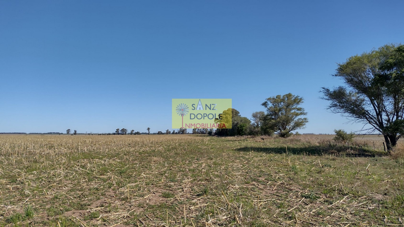 CAMPO MUY PRODUCTIVO