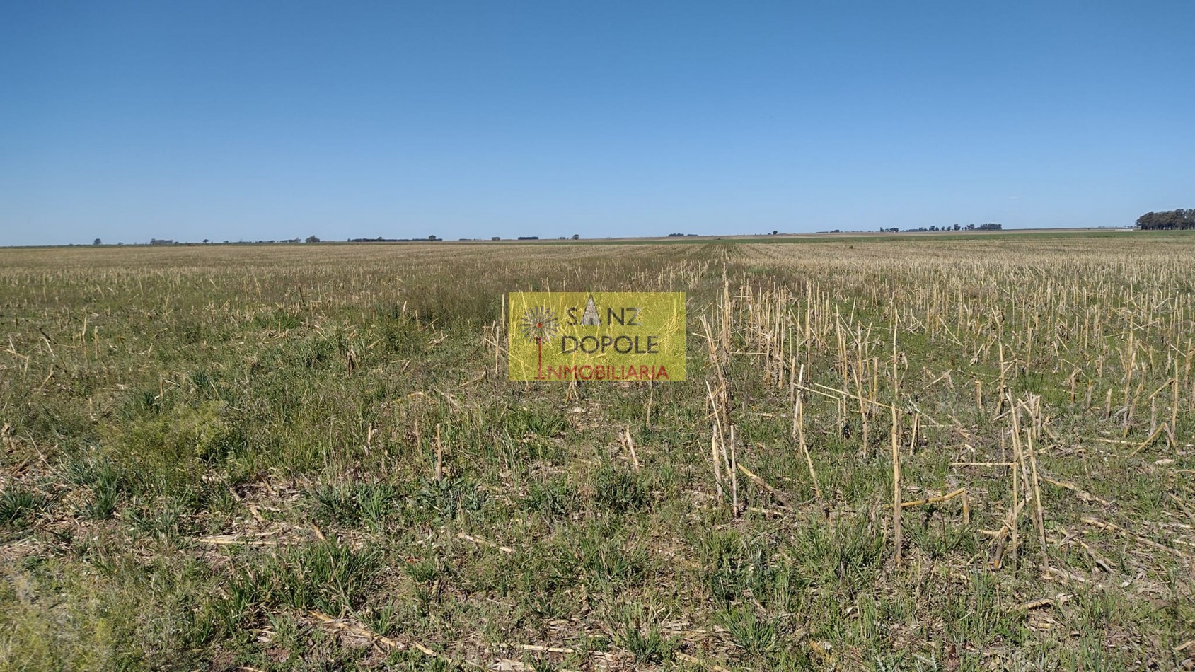 CAMPO MUY PRODUCTIVO